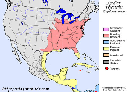 Acadian Flycatcher - Range Map