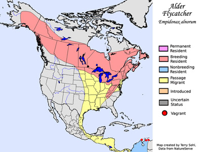 Alder Flycatcher - Range Map