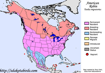 American Robin - Range Map