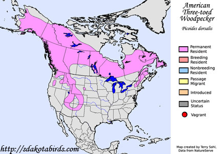American Three-toed Woodpecker - Range Map