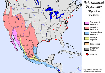 Ash-throated Flycatcher - Range Map