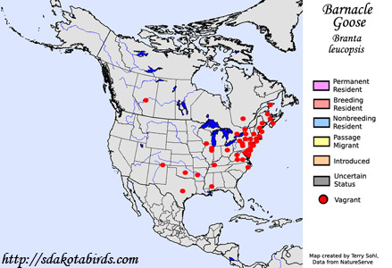 Barnacle Goose - Range Map