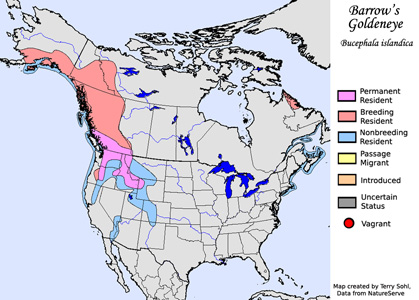 Range Map - Barrow's Goldeneye