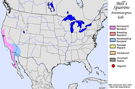 Bell's Sparrow - Range Map
