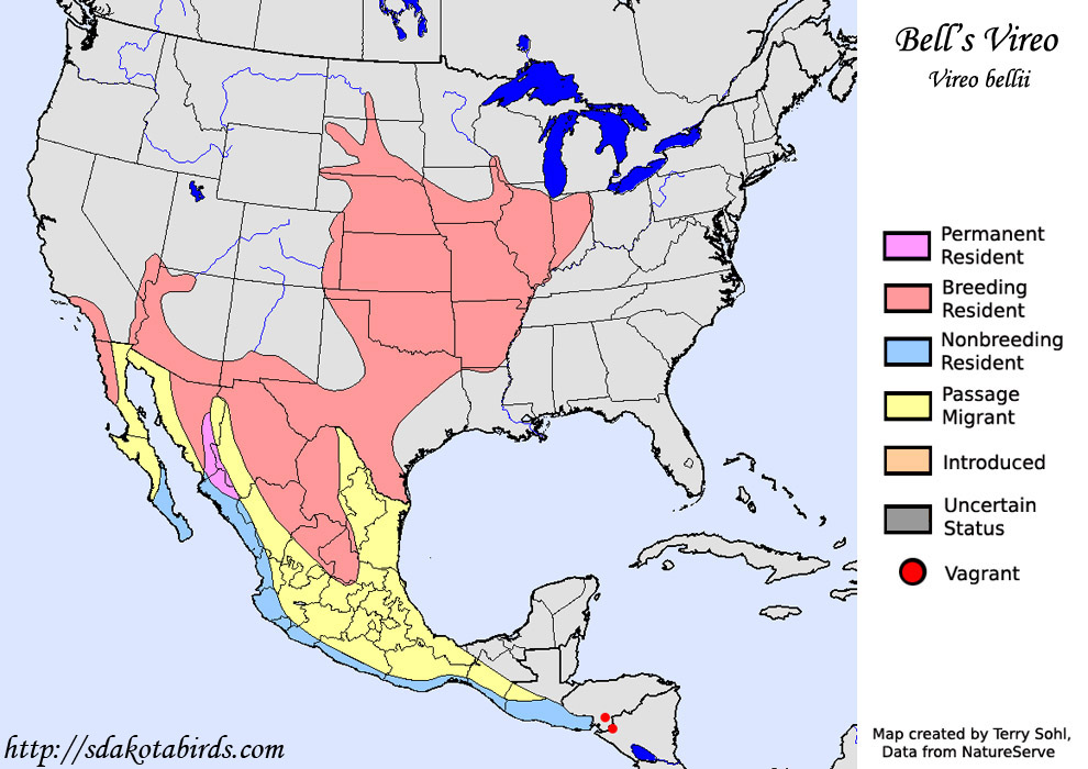 Bell's Vireo - Range Map