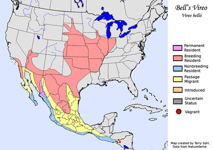 Bell's Vireo - Range Map