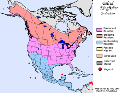 Belted Kingfisher range map