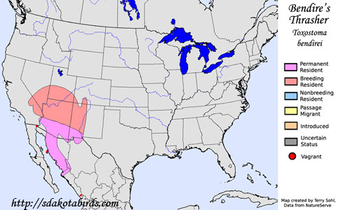 Bendire's Thrasher - Range Map