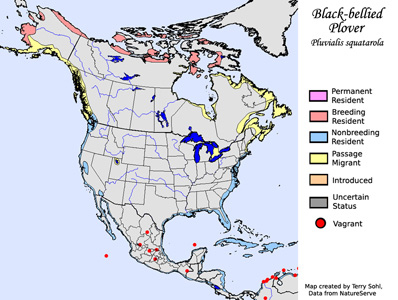 Range Map - Black-bellied Plover
