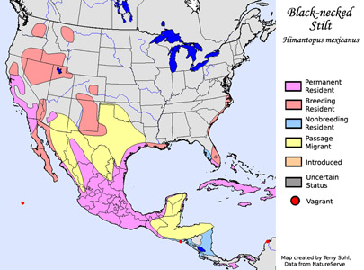 Range Map for the Black-necked Stilt