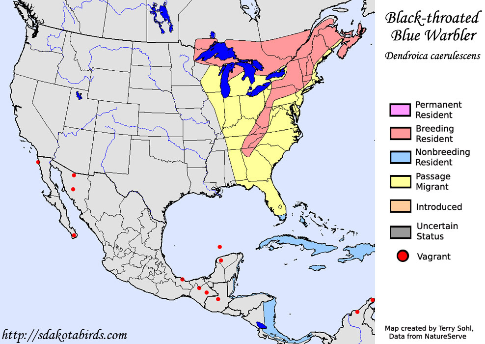 Black-throated Blue Warbler - Range Map