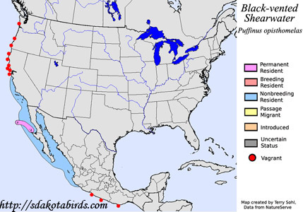 Black-vented Shearwater range map