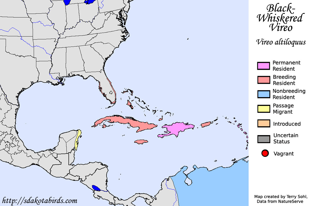 Black-whiskered Vireo - North American Range Map