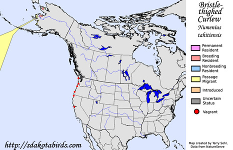 Bristle-thighed Curlew - Range Map