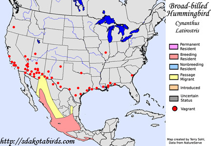Broad-billed Hummingbird - Range Map