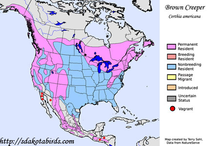 Brown Creeper - Range Map