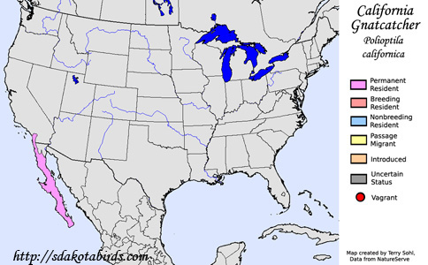 California Gnatcatcher - Range Map