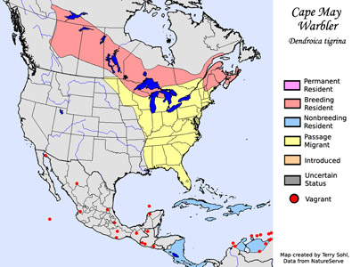 Cape May Warbler - Range Map