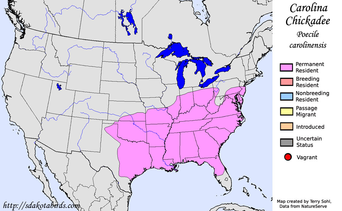 Carolina Chickadee - North American Range Map