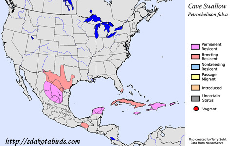 Cave Swallow - Range Map