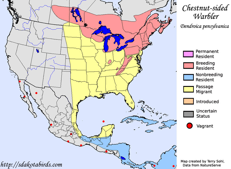 Chestnut-sided Warbler - Range Map