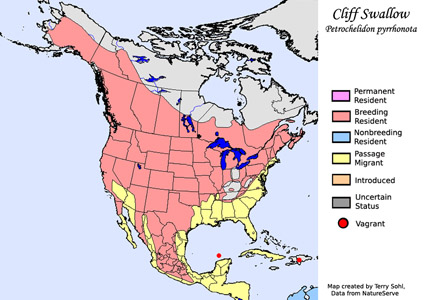 Cliff Swallow - Range Map