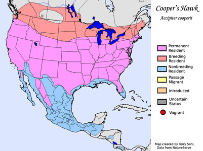 Cooper's Hawk - Range Map