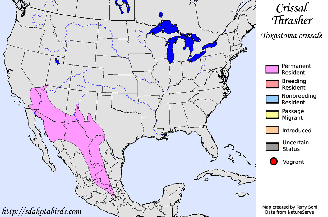 Crissal Thrasher - North American Range Map