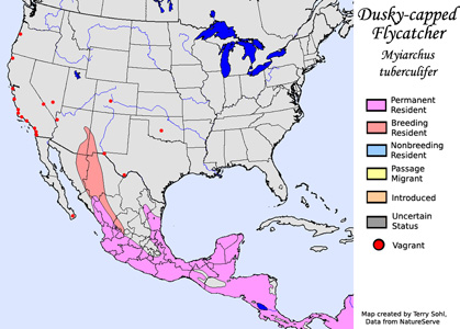Dusky-capped Flycatcher - Range Map