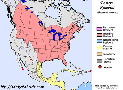 Eastern Kingbird - Range Map