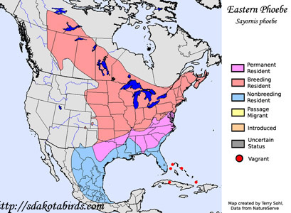 Eastern Phoebe - Range map