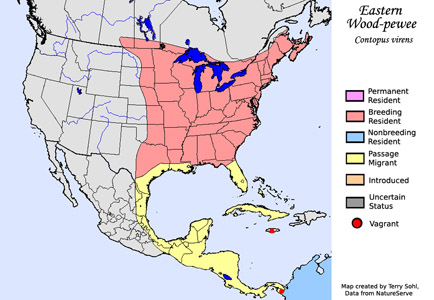 Eastern Wood-pewee - Range Map