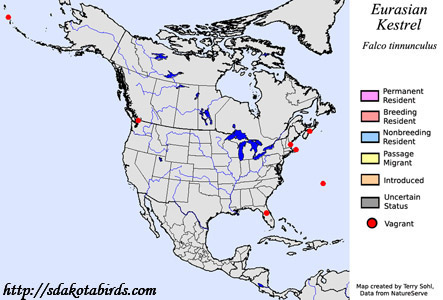 Eurasian Kestrel - North American Range Map