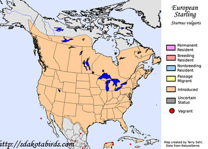 European Starling - Range Map