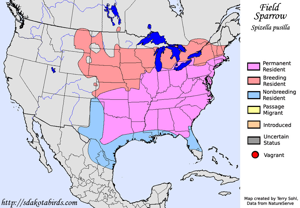 Field Sparrow - Range map