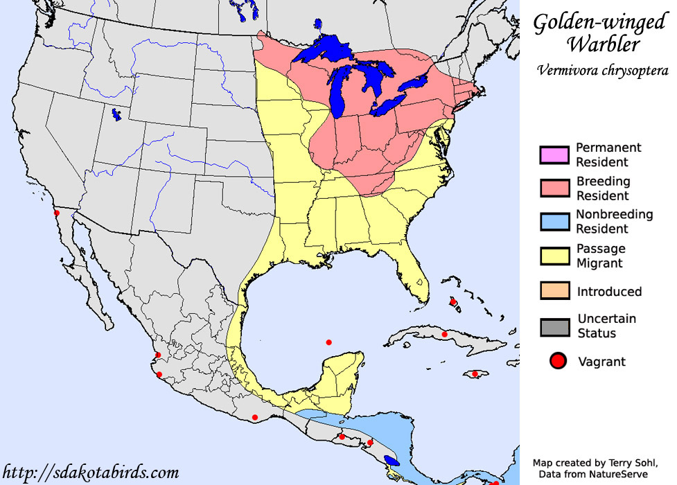 Golden-winged Warbler - Range Map