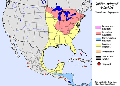 Golden-winged Warbler - Range Map