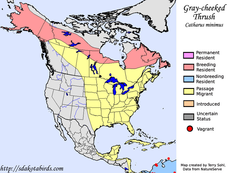 Gray-cheeked Thrush - Range Map