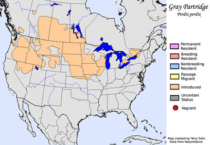 Gray Partridge - Range Map