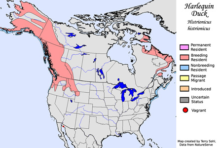 Range Map - Harlequin Duck