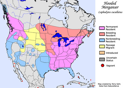 Hooded Merganser - Range Map