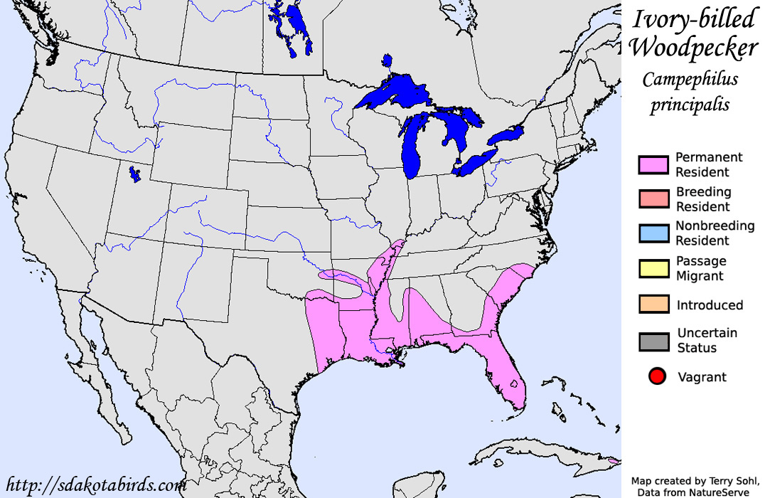 Ivory-billed Woodpecker - North American Range Map