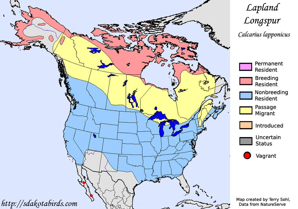 Lapland Longspur - Range Map
