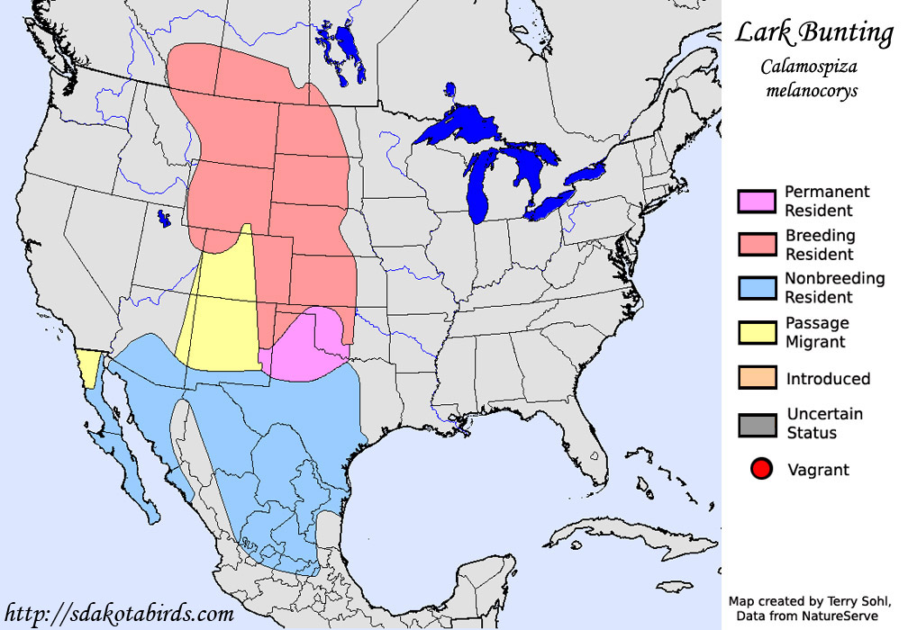 Lark Bunting - Range Map