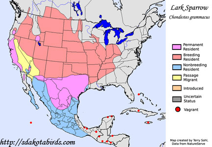 Lark Sparrow - Range Map