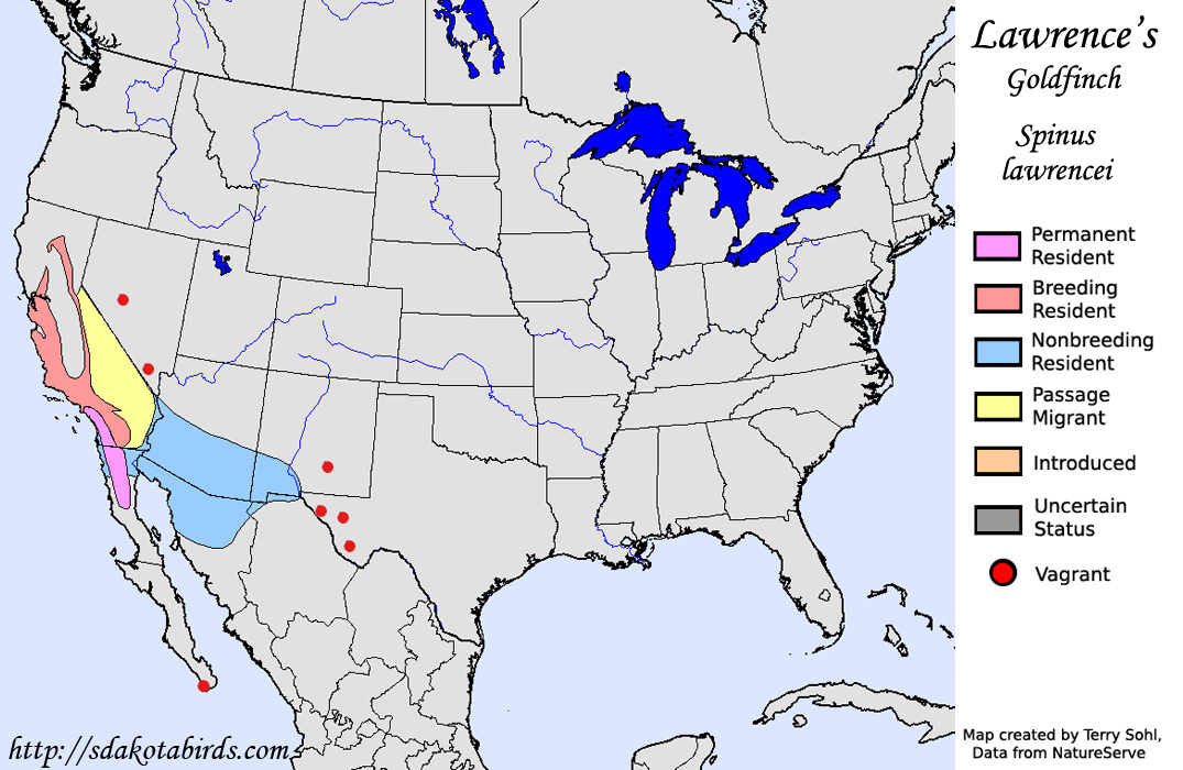 Lawrence's Goldfinch - North American Range Map