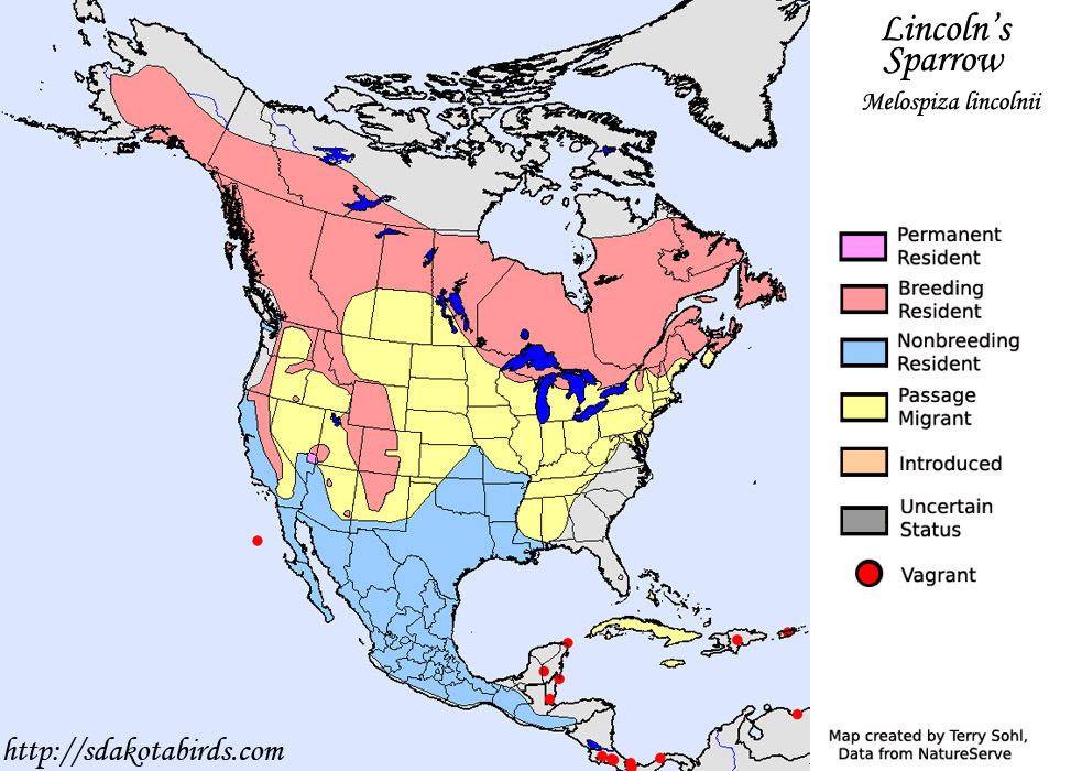 Lincoln's Sparrow - North American Range Map