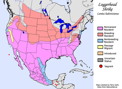 Loggerhead Shrike - Range Map