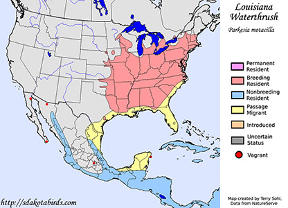 Louisiana Waterthrush - Range Map