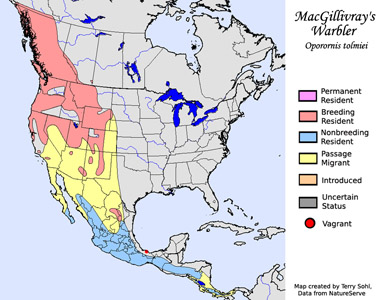MacGillivray's Warbler - Range Map